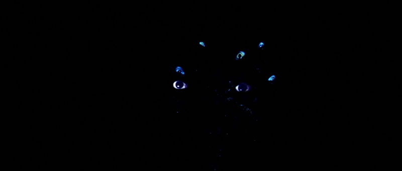 All of the eyes.